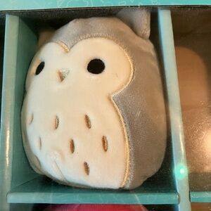 Hoot Mini Squishmallow